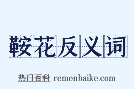 鞍花反义词是什么意思的图片